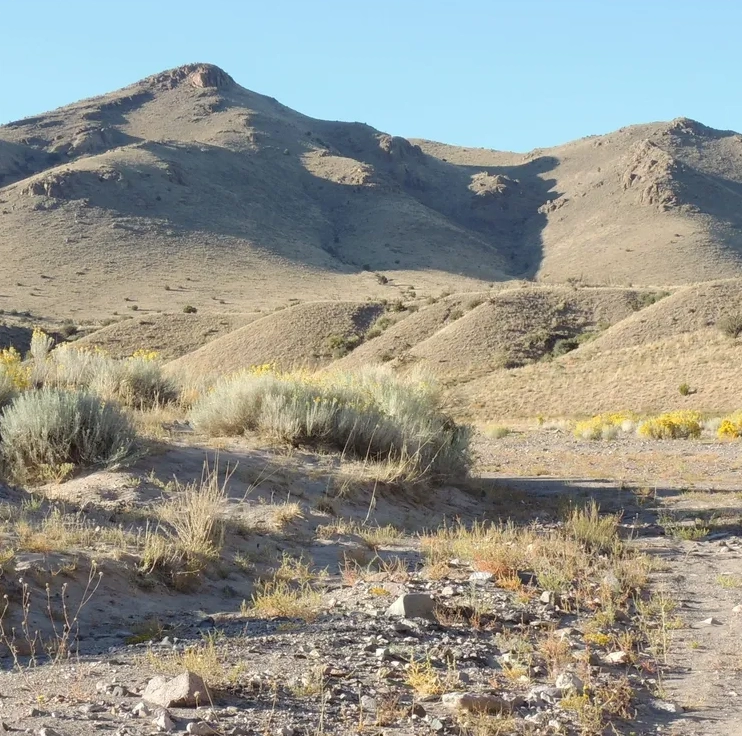 A desert landscape with mountains in the background.